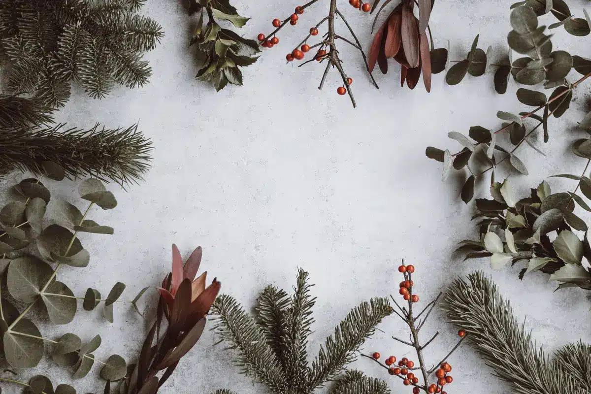 Christmas flower arrangement with pine and berries - The Village Florist Hunters Hill