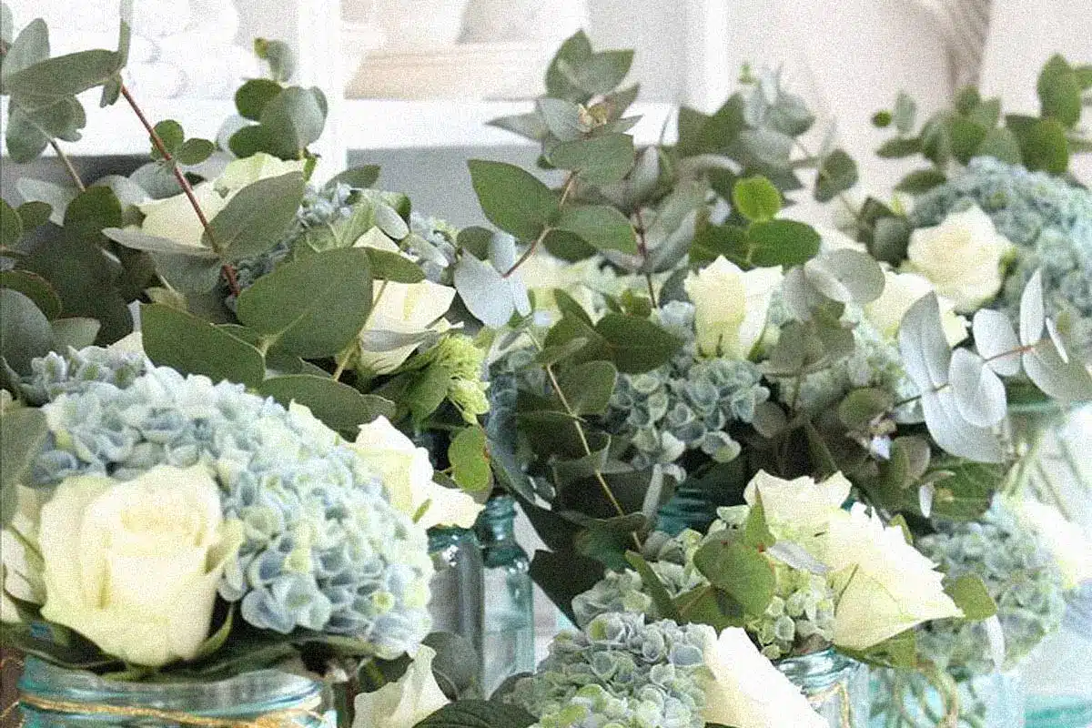 White roses and hydrangeas with eucalyptus - The Village Florist Hunters Hill