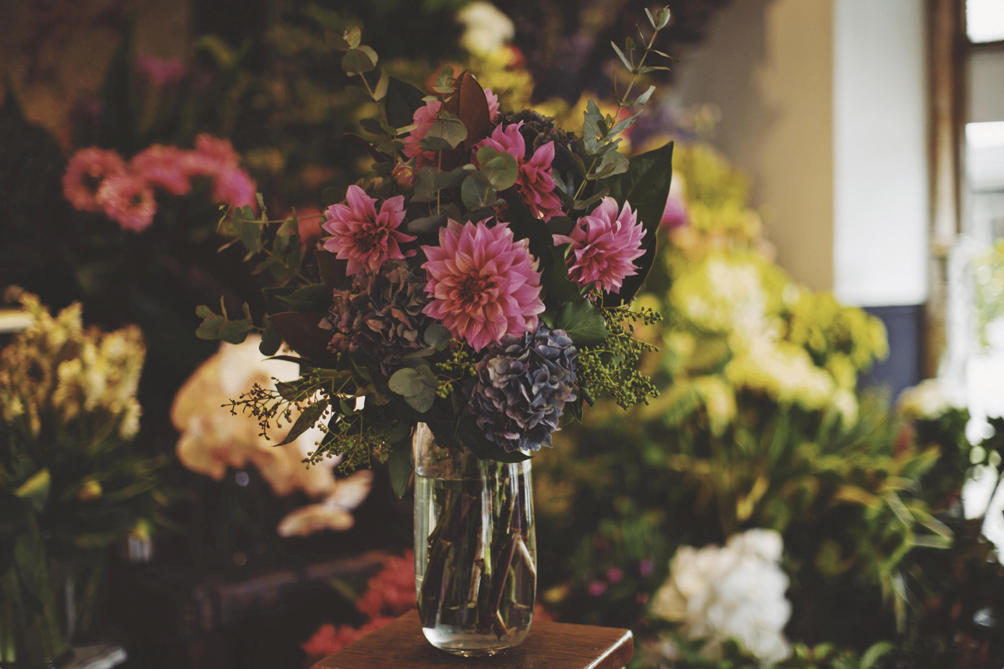 Pink dahlia and hydrangea floral arrangement - The Village Florist Hunters Hill