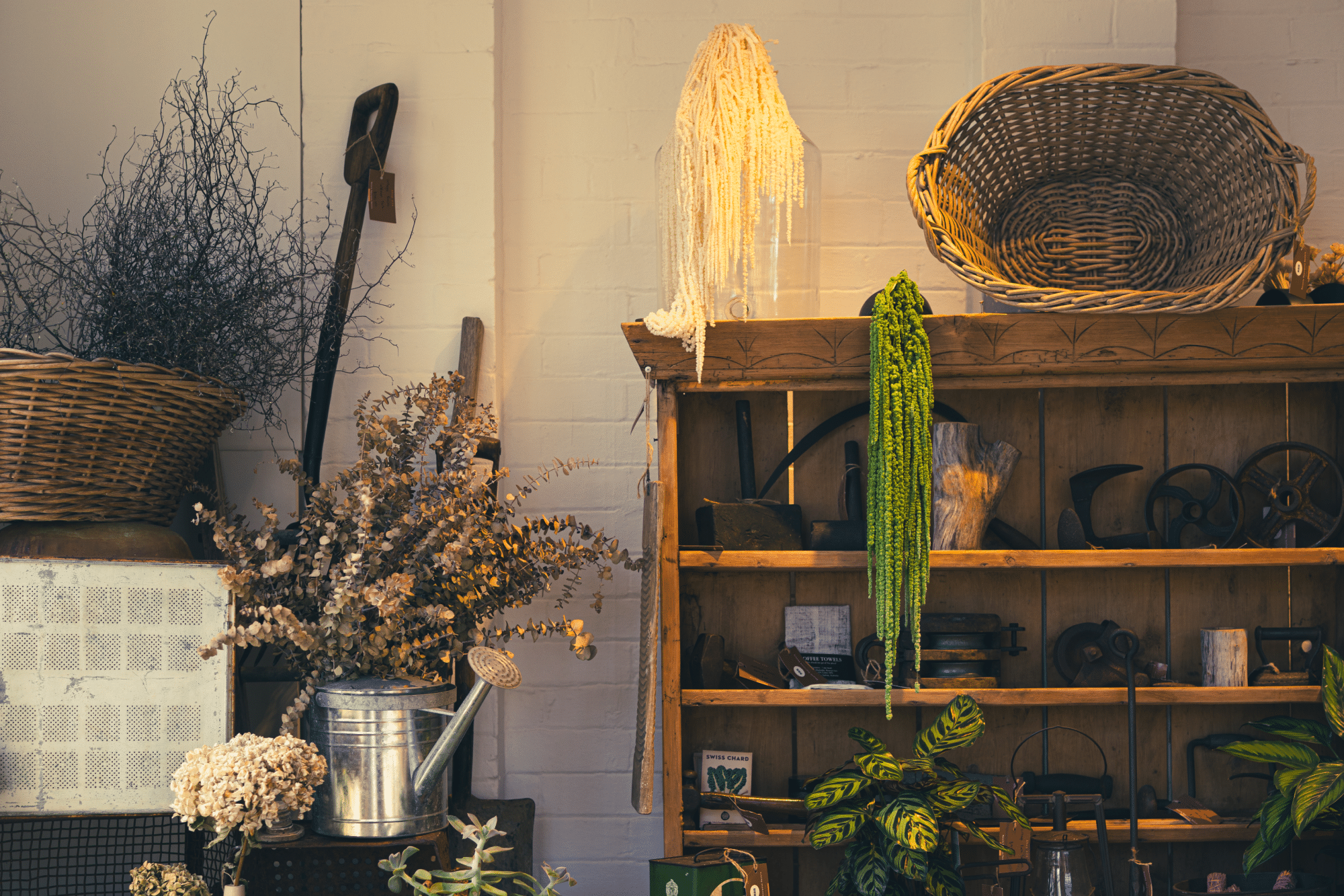 Rustic shelf with plants and decor - The Village Florist Hunters Hill